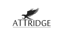 https://www.warriorwp.com/wp-content/uploads/2019/11/attridge.png